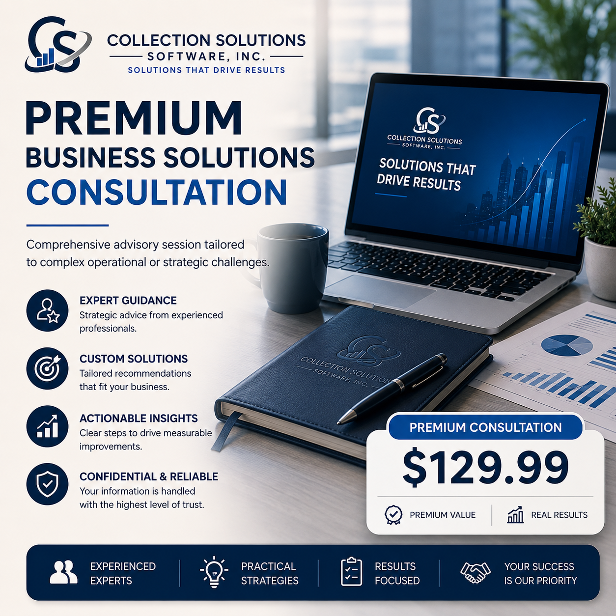 Premium Business Solutions Consultation